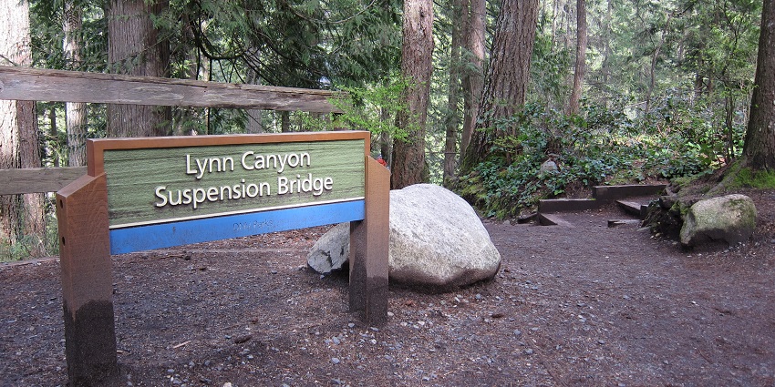 A view of Lynn Canyon Suspension Bridge which is one of the things to do in Vancouver.