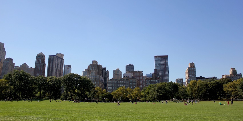 An image of Central Park with lush trees, a lake, and tall buildings in the background.
