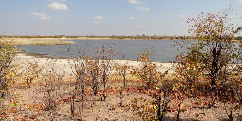 The vast and spectacular landscape of Hwange National Park for bush walks.