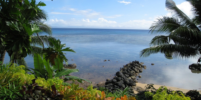 Various plants are near the shore, with several black stones present at the coast