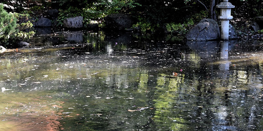 A picture of the Japanese garden offers art at its serene point in Rockford, Illinois