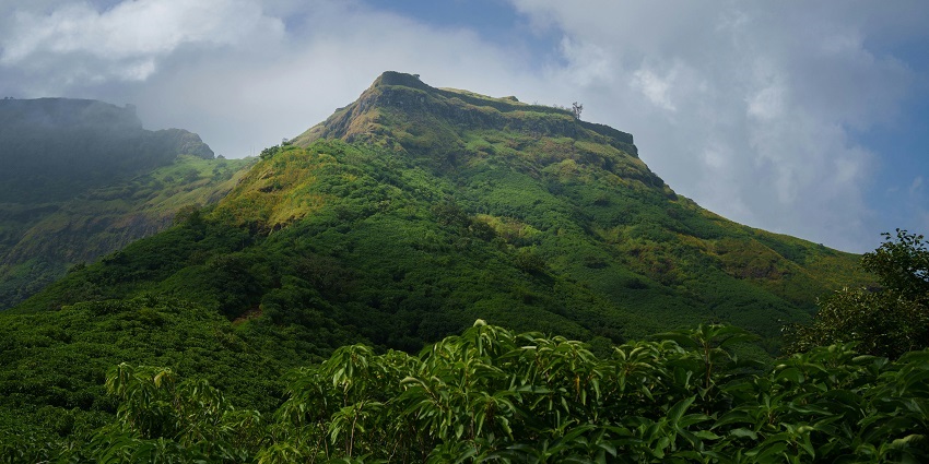 A picture of an aloof mountain enveloped with greenery surrounded by clouds at its peak.