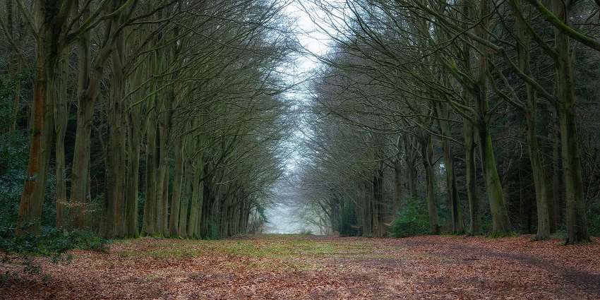 This is one of the places to visit in England with landscapes, rivers and lakes all around