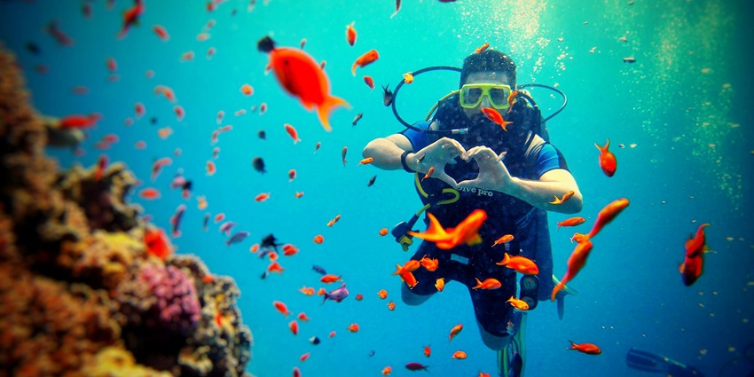 A person doing scuba diving with diving gear and suit surrounded by tropical fishes.