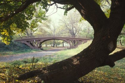 An image of the Central Park Bridges (view from Bridlepath looking southwest) in New York.