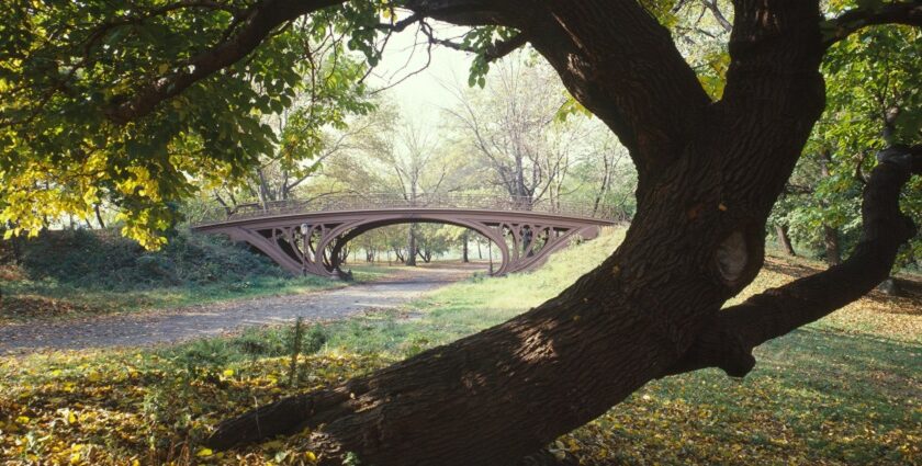 An image of the Central Park Bridges (view from Bridlepath looking southwest) in New York.