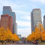 Things to do in Tokyo in November include exploring the city in autumn’s foliage.