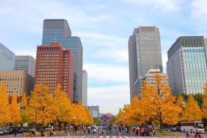 Things to do in Tokyo in November include exploring the city in autumn’s foliage.