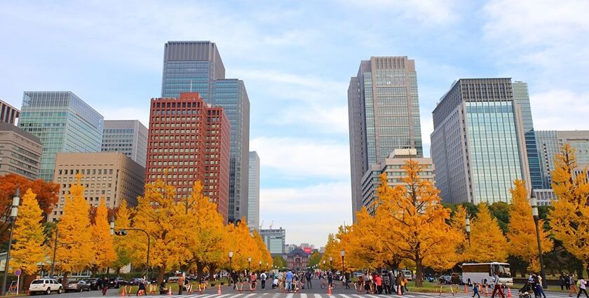 Things to do in Tokyo in November include exploring the city in autumn’s foliage.