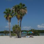 People gathered to relax on a sunny day at Clearwater Beach in Florida, United States.