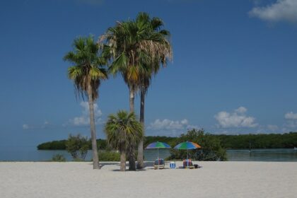 People gathered to relax on a sunny day at Clearwater Beach in Florida, United States.