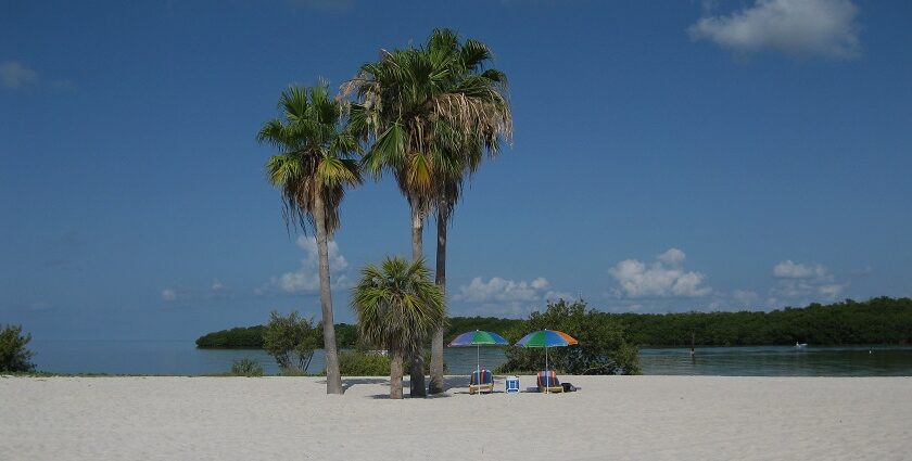 People gathered to relax on a sunny day at Clearwater Beach in Florida, United States.