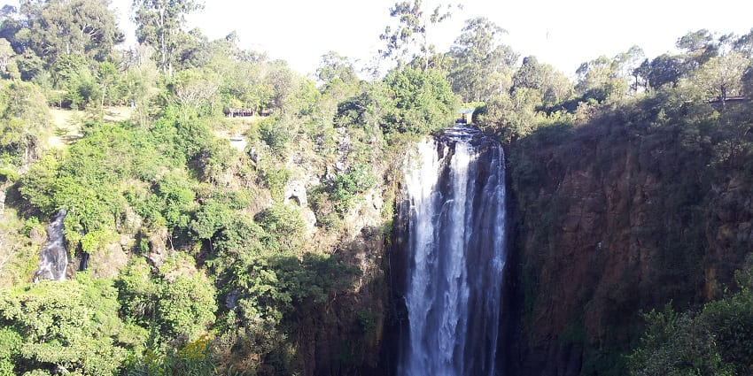 Sunlight casting a shadow on the greenery and the Thomson’s Falls water flowing down.