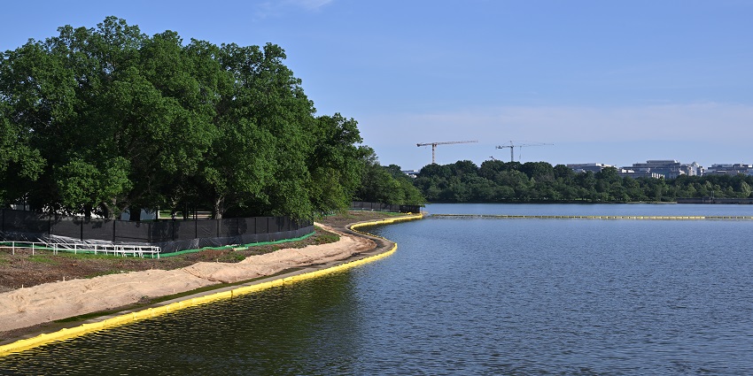 A picture of one of the best spots for Valentine's Day in Washington D.C