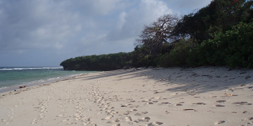 The beach offers a mesmerising view and has trail of footsteps formed in the sand