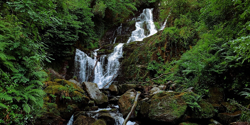 An image of Torc Waterfall, cascade surrounded by lush greenery in Killarney National Park