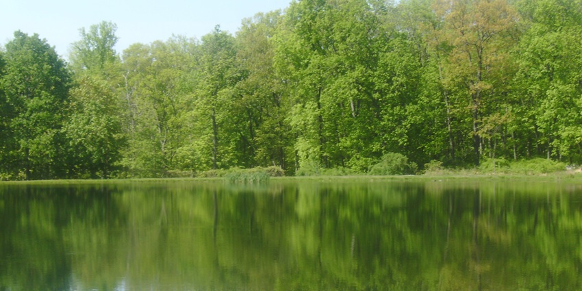 Scenic image of the lake Lakota in the Wolf preservation center—thinsg to do in New Jersey