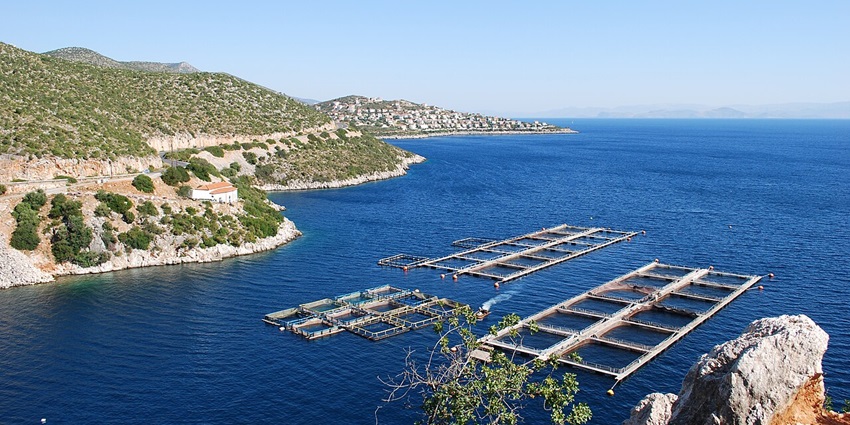 Touring the Argo Saronic Island is one of the most amazing things to do in Greece.