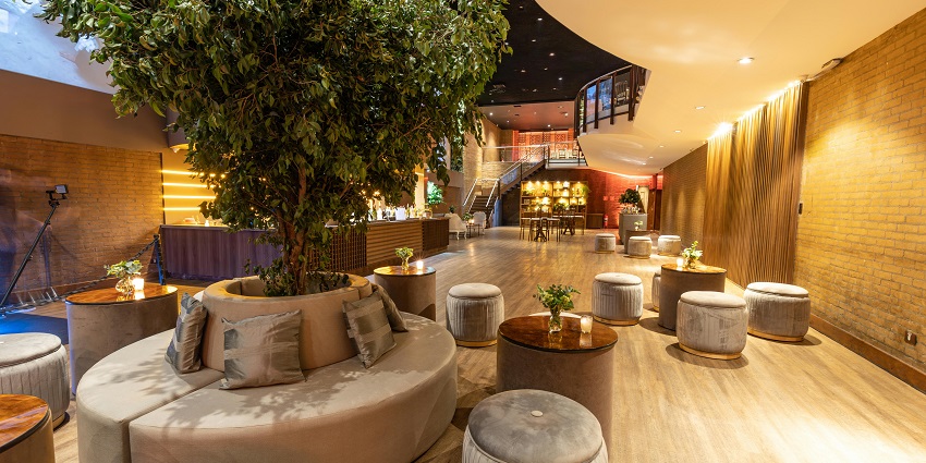 Sitting area with round and Barrale-shaped sofas and cushions arranged around a tree
