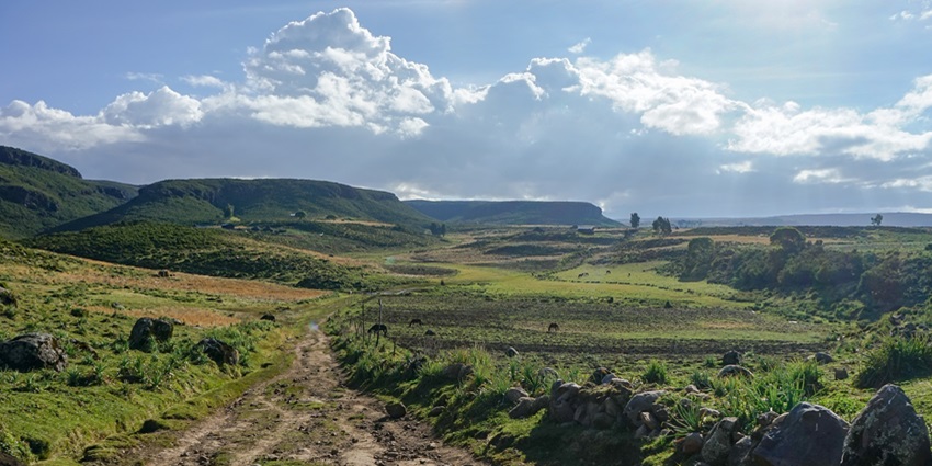 Trekking through the Bale Mountains National Park is one of the adventurous things to do in Ethiopia.