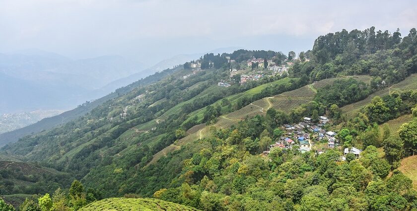 An image of hills in Kolkata, West Bengal with rolling slopes seen during trekking in Kolkata.