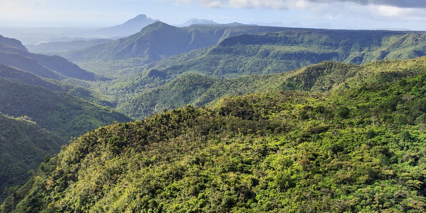 The mountains in the Black River Gorges National Park are entirely covered in green.