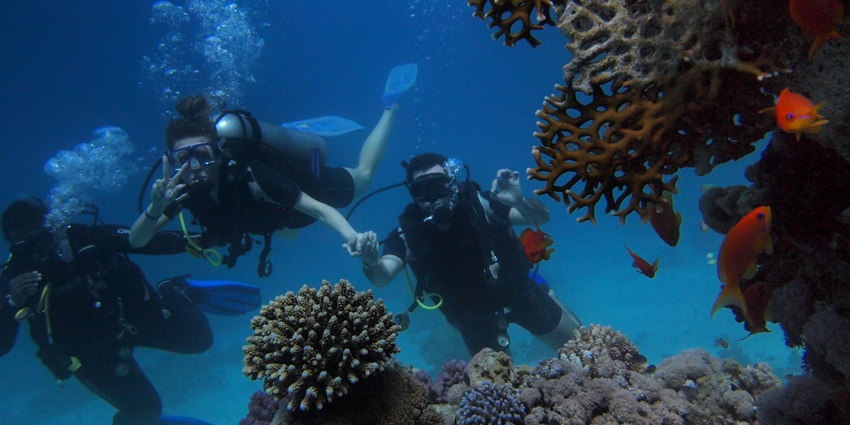 Three scuba divers are posing underwater inside the Red Sea, featuring reefs and fish.