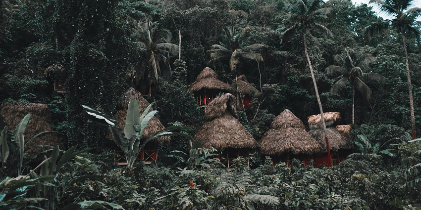 Multiple houses in the forest made up of wood and grass roofs surrounded by greenery
Viewers of this file can see comments and suggestions