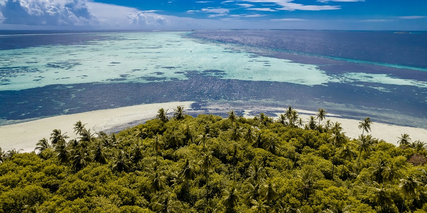 Vaadhoo Island is renowned for its magical bioluminescent beach and pounding waves.