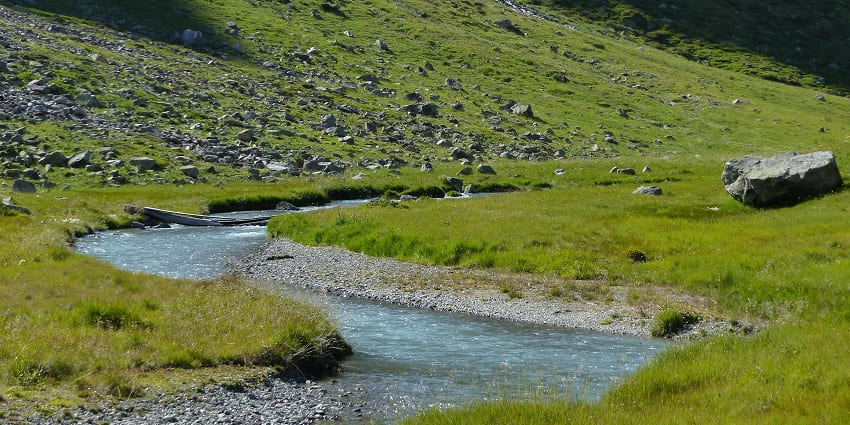 A visit to Val Cluozza, a place with deer, marmots, chamois and golden eagles.