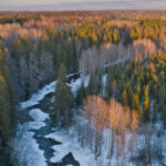 Half-frozen area with a narrow trail surrounded by tall green trees during the evening Viewers of this file can see comments and suggestions