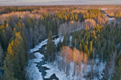 Half-frozen area with a narrow trail surrounded by tall green trees during the evening Viewers of this file can see comments and suggestions