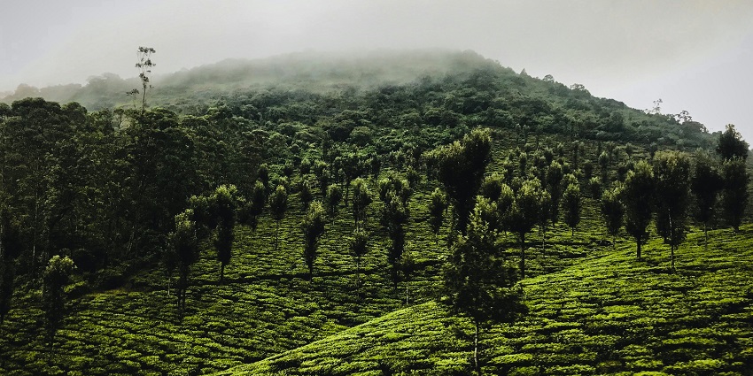 The picturesque beauty of Valparai Lake, one of the best hill stations near Dindigul.