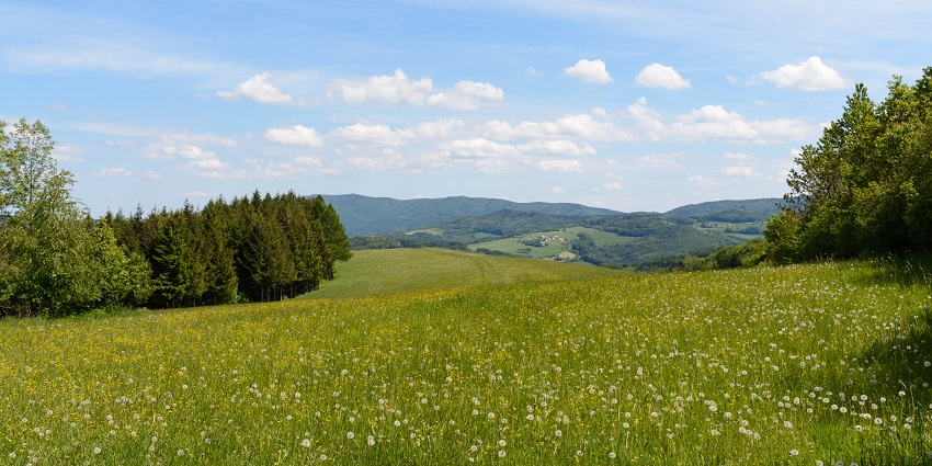 A panoramic view of Hochstrass with the city skyline, featuring green hills and clear sky.