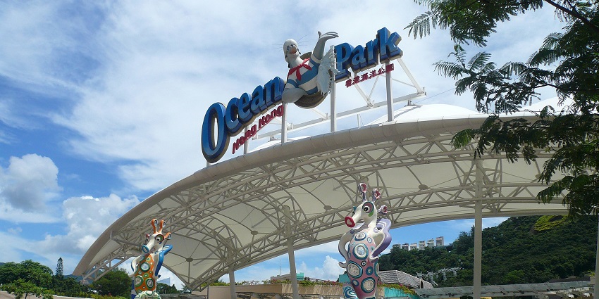 Cebu Ocean Park featuring marine life exhibits and underwater experiences