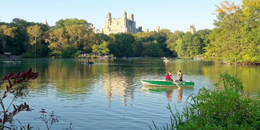 Central Park Lake with multiple boats and people boating, surrounded by greenery.