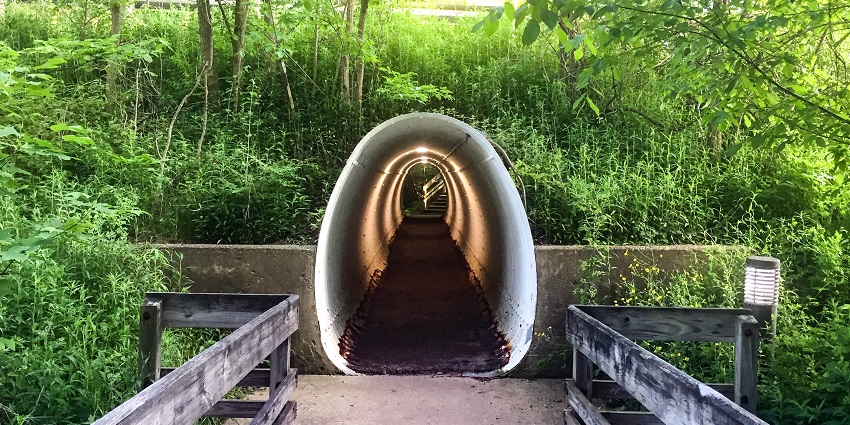 Cuyahoga Valley National Park with a path to a small tunnel surrounded by greenery