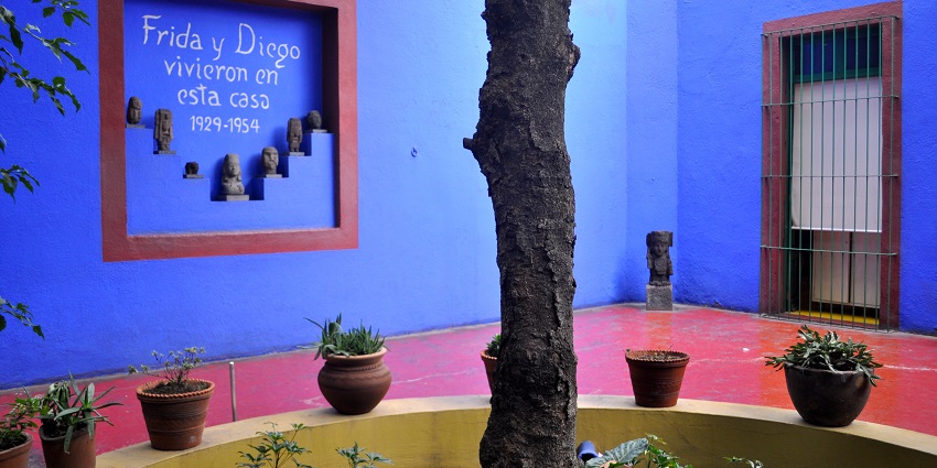 A tree in the courtyard of the Frida Kahlo Museum in Mexico City, Mexico.