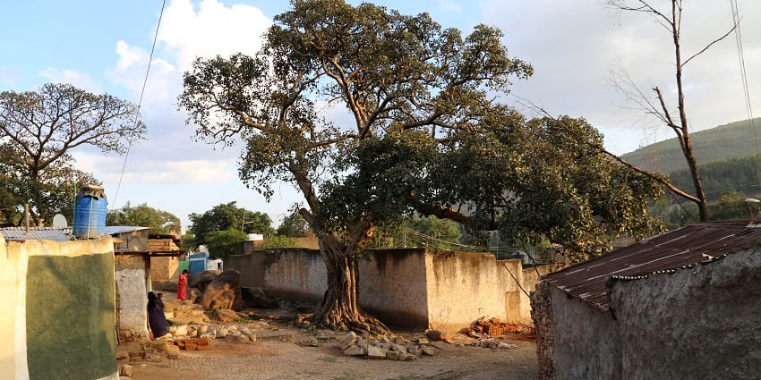 Streets made of bricks in Harar is passing through a village featuring hut-like houses.