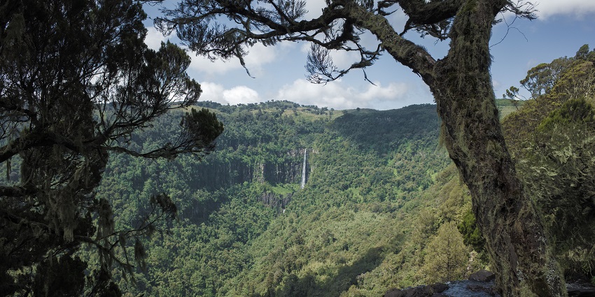 Guru waterfall surrounded by greenery visible from the top of the Karuru waterfalls.