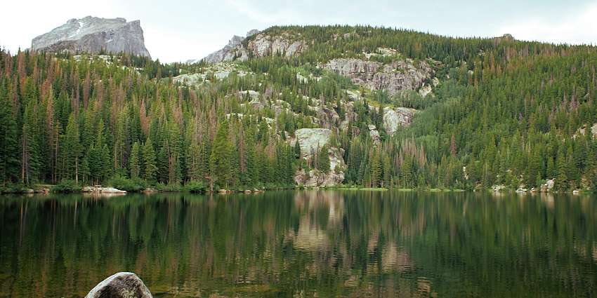 Colorado travel guide takes you through the scenic park with towering peaks, lake views, and diverse wildlife.`