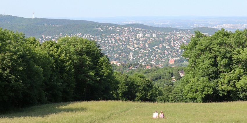 A view of green Buda hills, is nice to walk through and from which you can enjoy views.