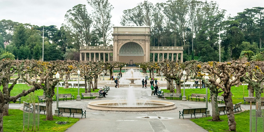 An view of the California Academy of Sciences featuring diverse exhibits and an aquarium.