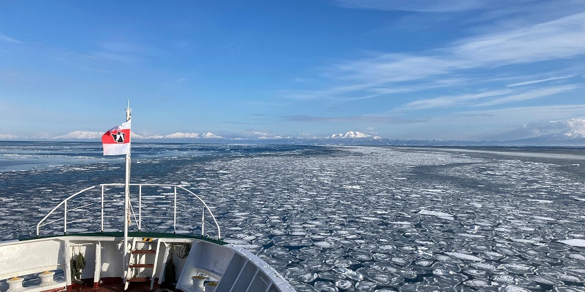 Water with broken ice spread vastly visible from the corner of an Icebreaker cruise.