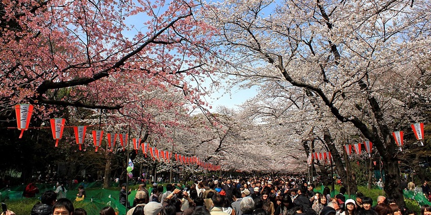 Ueno Park in November features vibrant autumn colours and serene landscapes.