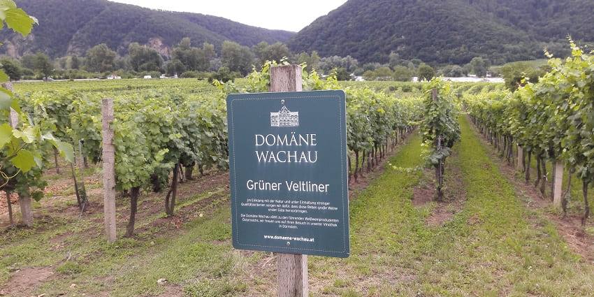 Vineyards and scenic views in Wachau Valley, perfect for couples.
