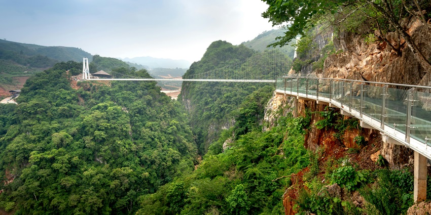 Image of Glass Walkway Leading to a Bridge surrounded by lush greenery