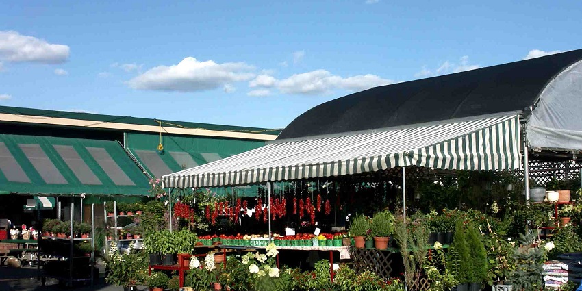 Marché Jean-Talon market with multiple plant shops, flower pots covered by a shed