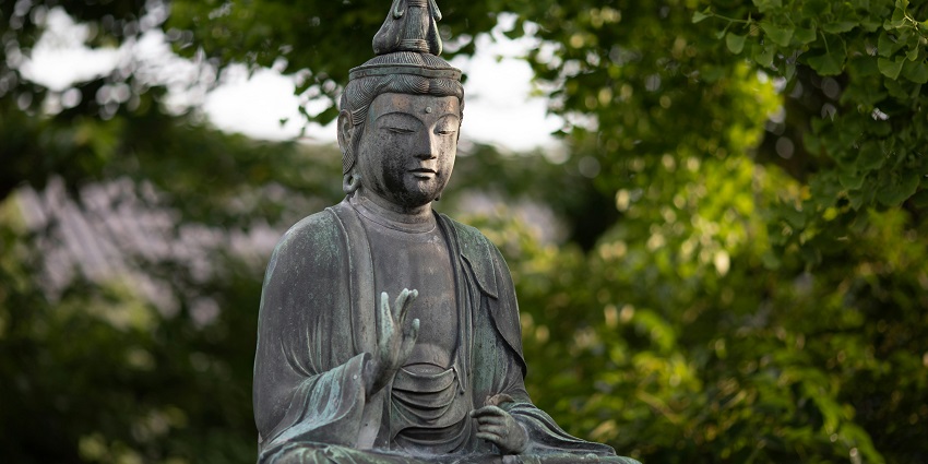 Image of Lord Buddha statue near trees and windy environment during day time