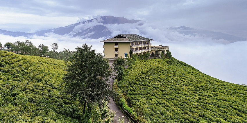 Cherry resort inside Temmi tea garden.